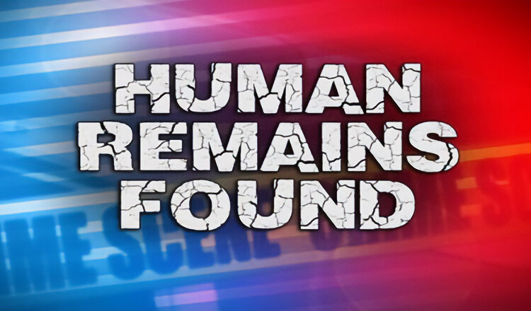 Human remains identified near Meadview