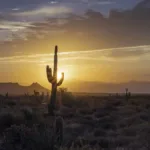 desert