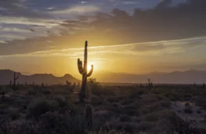 desert