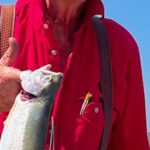Philip Roger Sanders, Sr. Obituary
