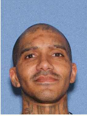 Homicide suspect apprehended in Bullhead City - The Standard Newspaper
